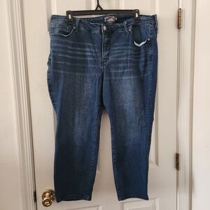 Torrid Indigo Denim Jeans